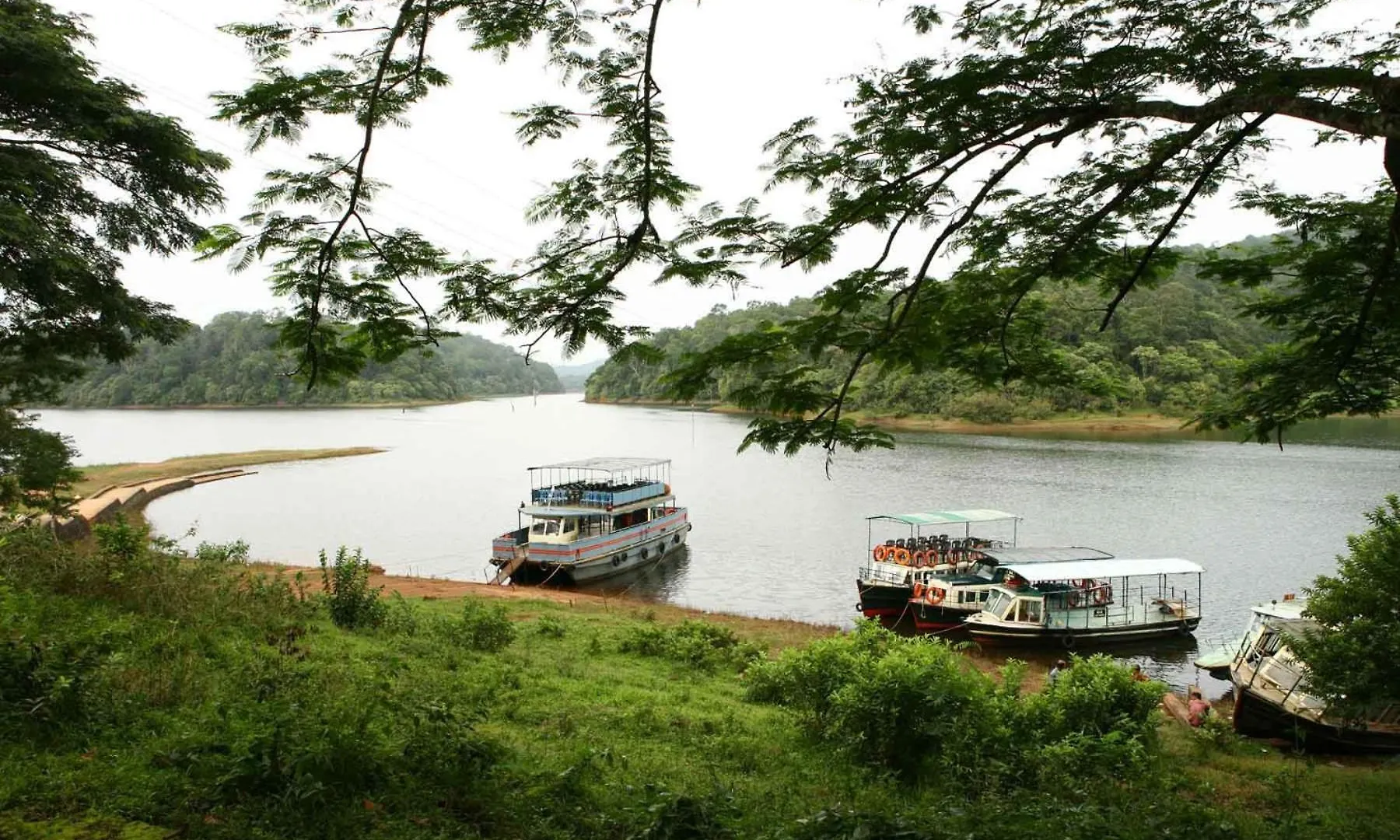 Spicegreen Homestay,Thekkady 0*, Thekkady India