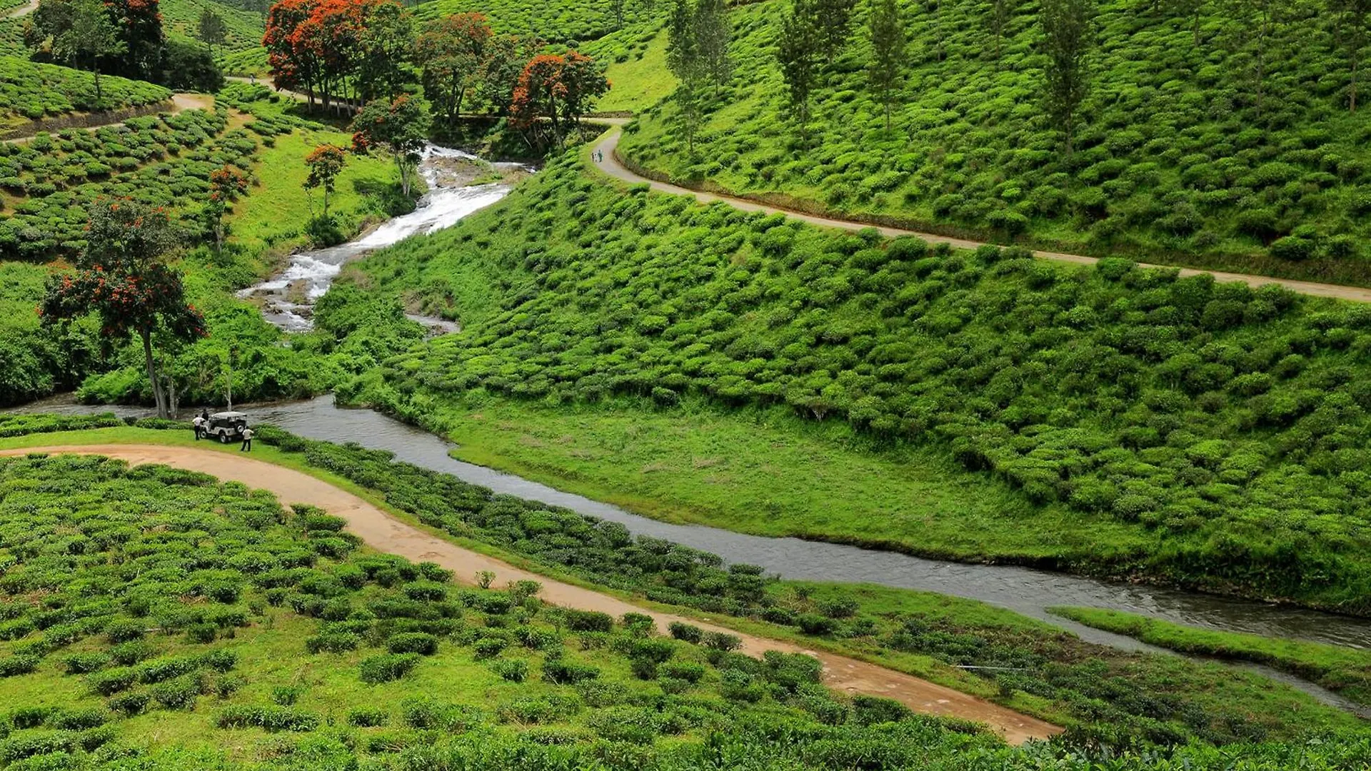 Homestay Spicegreen Homestay,Thekkady India