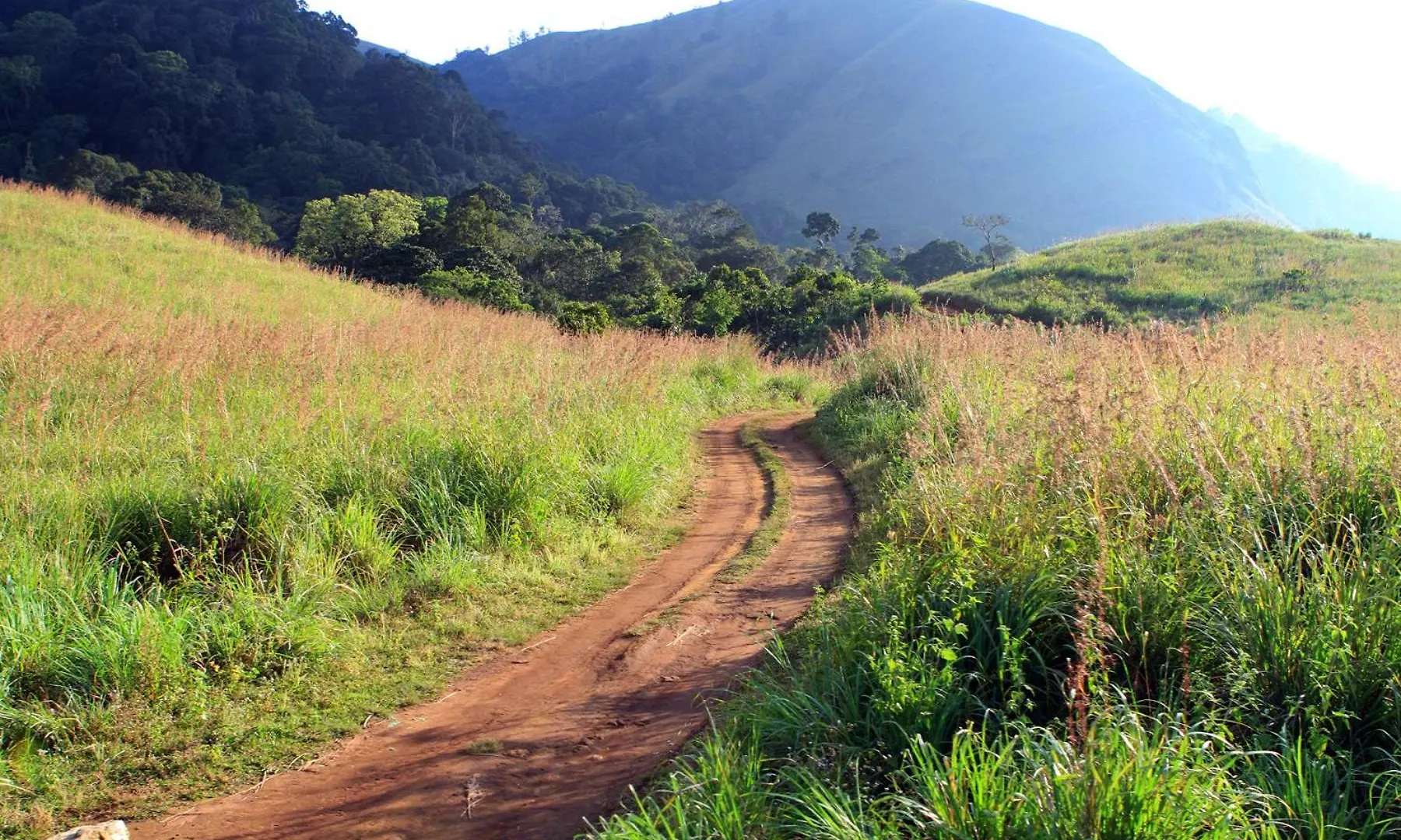 Homestay Spicegreen Homestay,Thekkady India