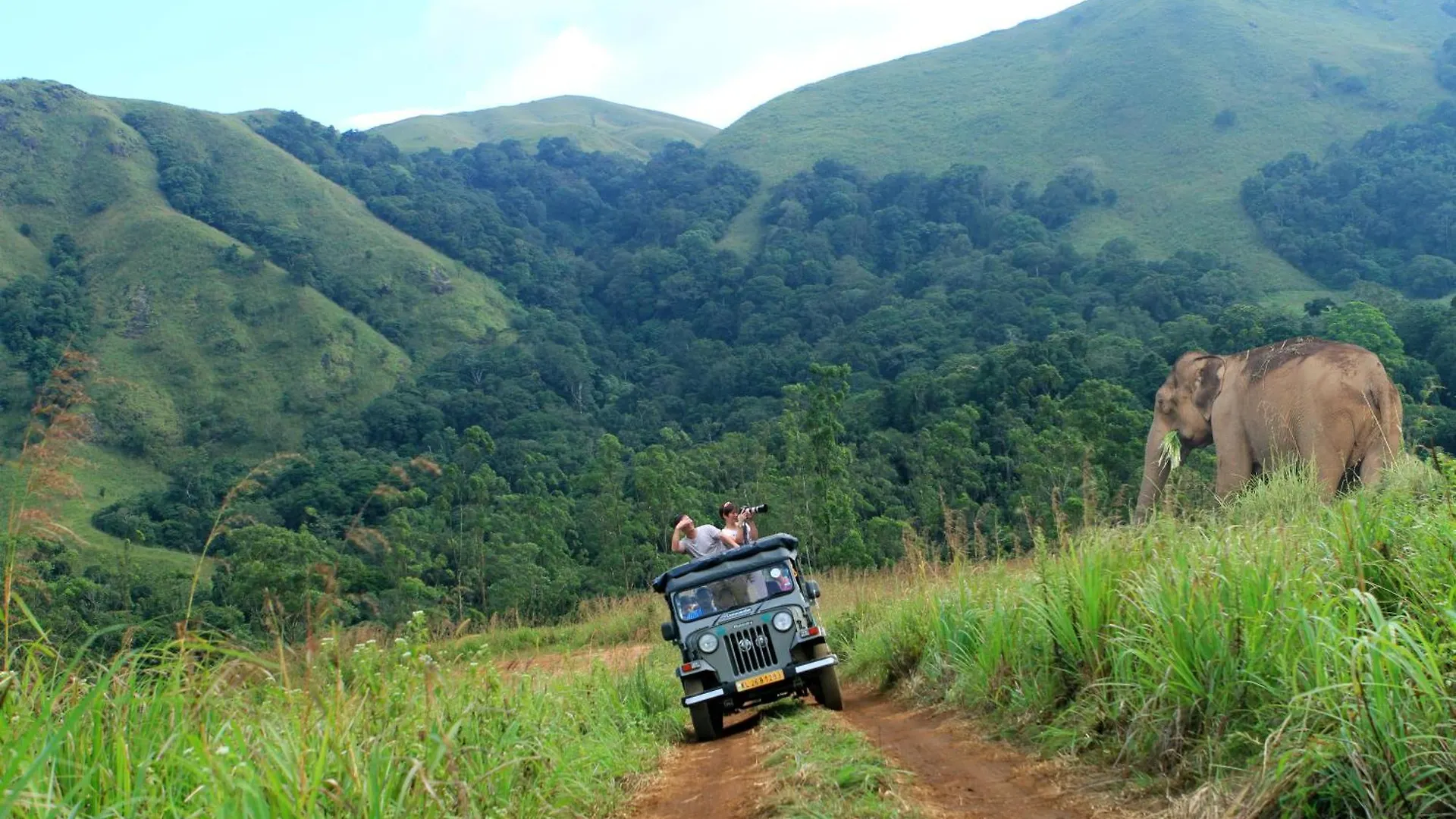 Spicegreen Homestay,Thekkady 0*, Thekkady